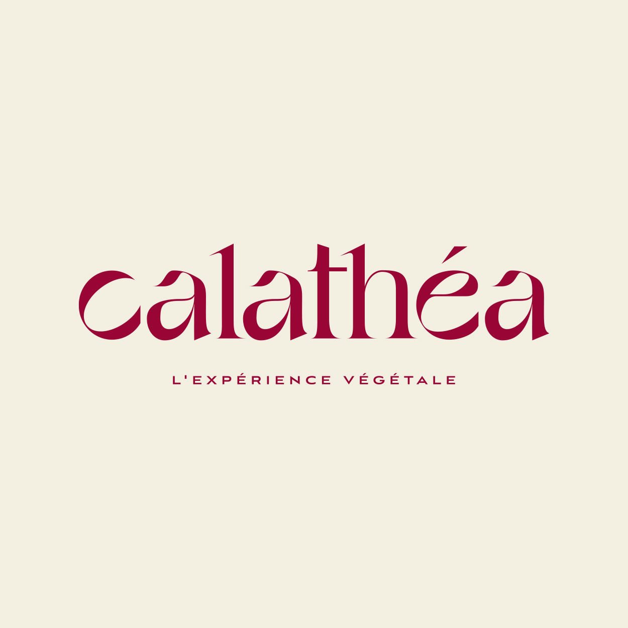 conception de logo calathéa